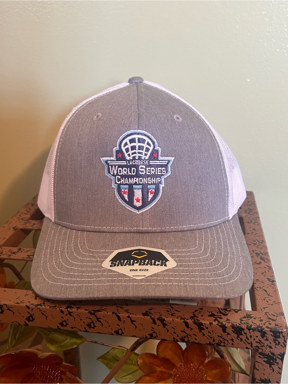 Gray and White World Series Championship Snapback Hat